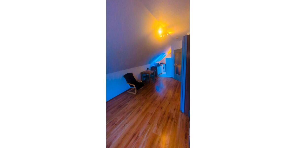 Dachgeschoßwohnung Bad Dürkheim - 1 Zimmer, 32 m&sup2;, 480&euro; | Angebot:24744196