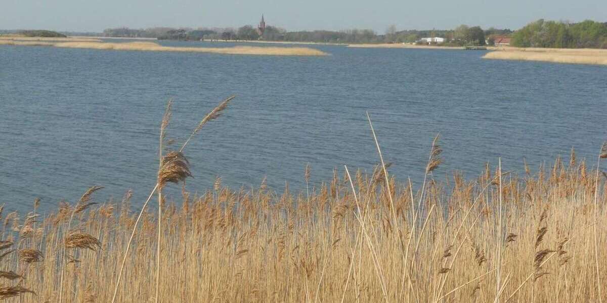 Etagenwohnung Greifswald Eldena - 3 Zimmer, 58 m&sup2;, 380&euro; | Angebot:26216792