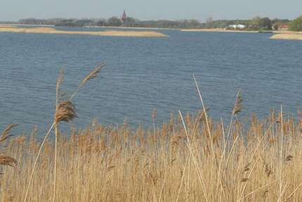 Wohnung Greifswald Eldena - 3 Zimmer, 58 m&sup2;, 380&euro; | Angebot:26216792