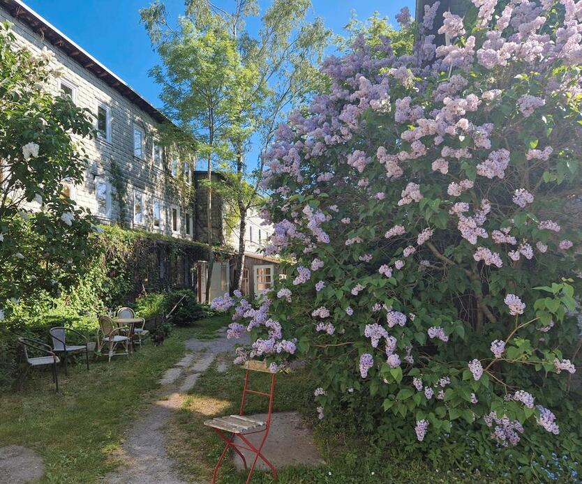 Grosse Wohnung zu vermieten in einer herrlichen Gegend zu ver