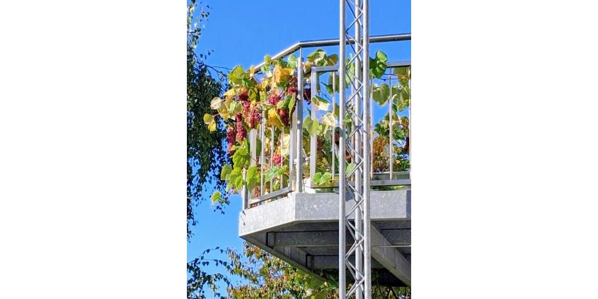 ruhige, schöne Süd-Wohnung,74qm, Balkonterr., 2 zimmer