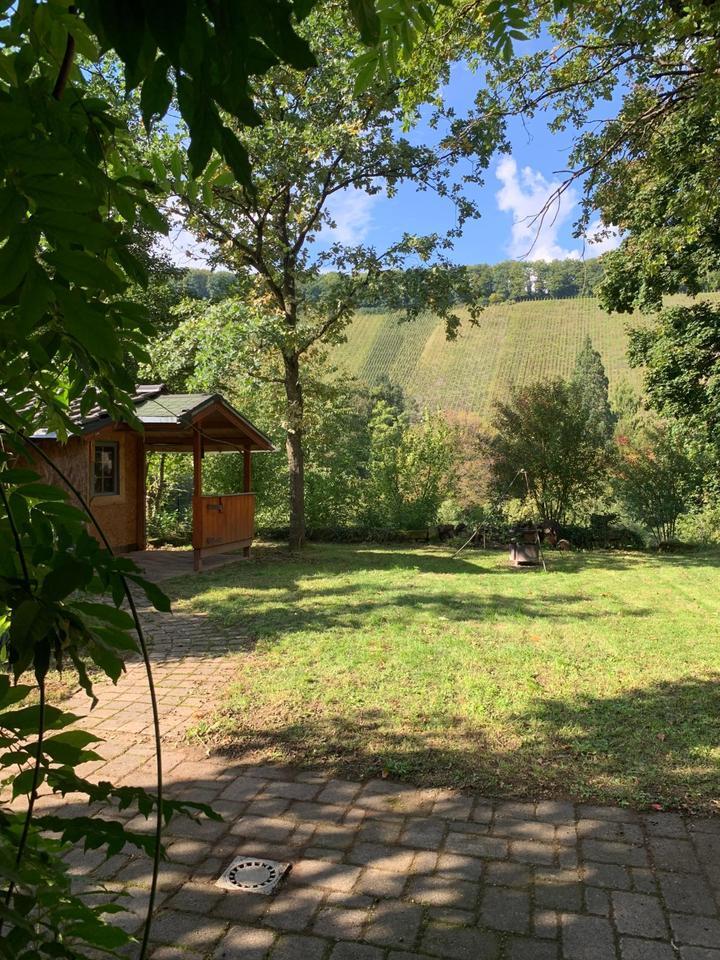 Gartenwohnung in Kanzem an der Saar zimmer