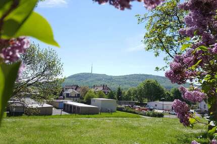 Wohnung zum Mieten in Löbau 324 € 60 m² 3 zimmer