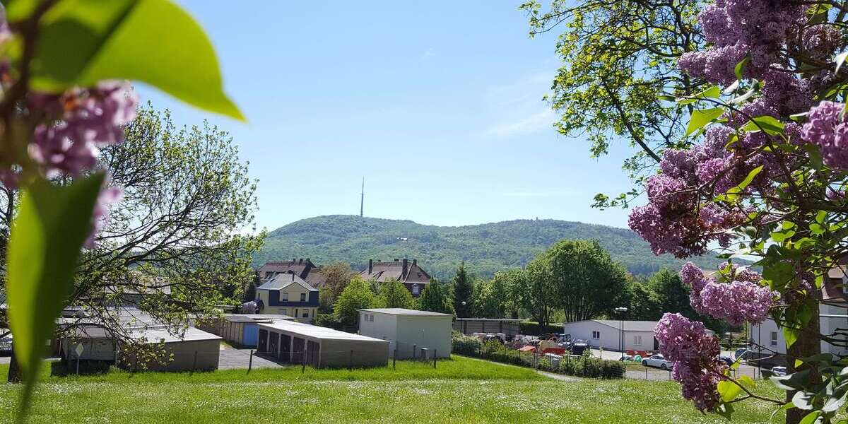 Wohnung zum Mieten in Löbau 324 € 60 m² 3 zimmer