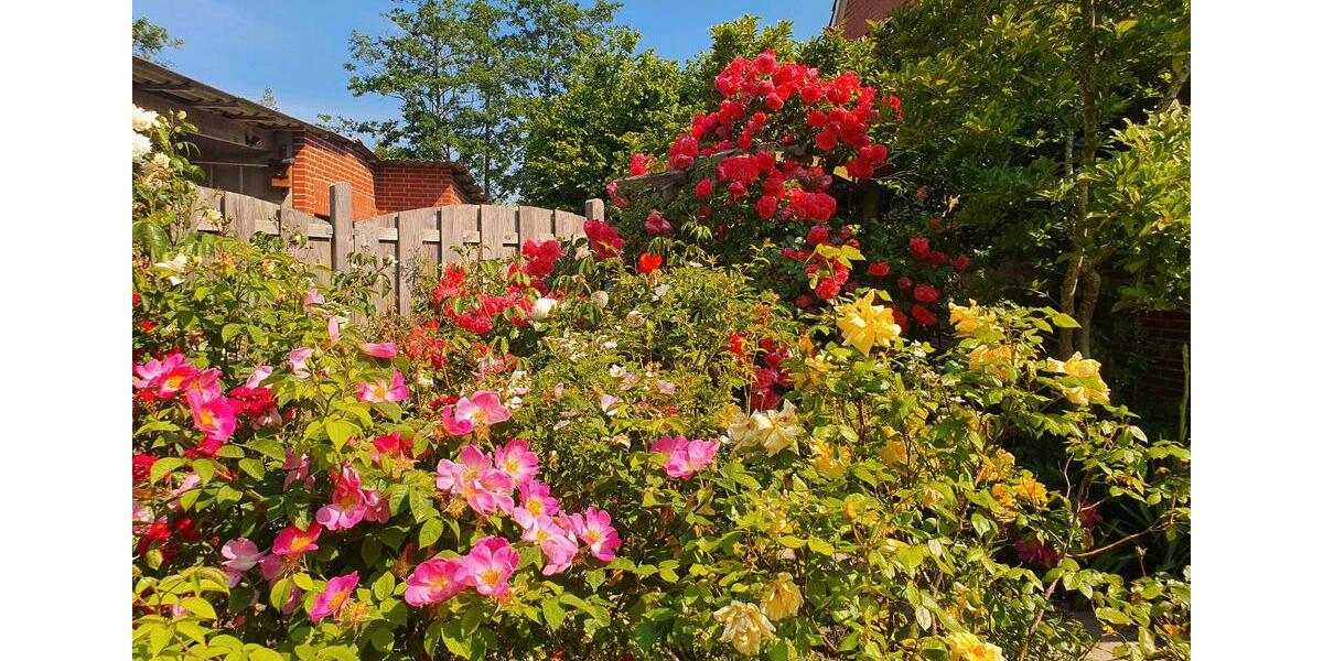 Wohnen auf Zeit Otterndorf - 1 Zimmer, 12 m&sup2;, 595&euro; | Angebot:25793963