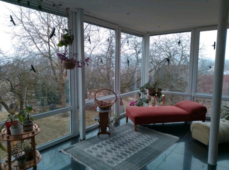 Zimmer in Wohn- und Lebensgemeinschaft in Wohlmuthshüll 1 zimmer