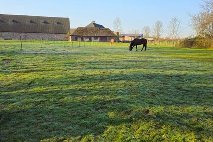 Gewerbeobjekt Holzminden - 350&euro; | Angebot:24542435