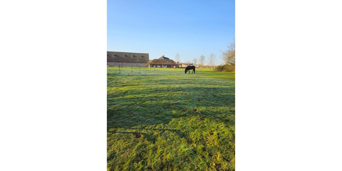 Gewerbeobjekt Holzminden - 350&euro; | Angebot:24542435