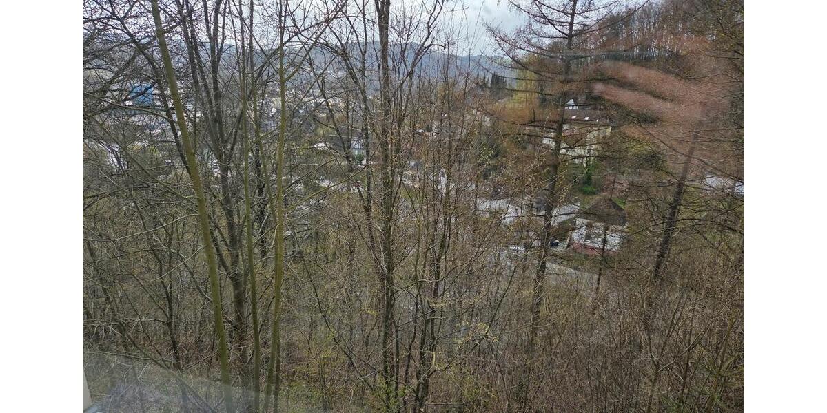 Etagenwohnung Werdohl - 2 Zimmer, 46 m&sup2;, 299&euro; | Angebot:26131003