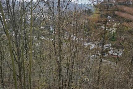 Wohnung Werdohl - 2 Zimmer, 46 m&sup2;, 299&euro; | Angebot:26131003