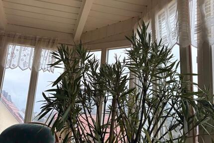 Wohnung Weißenfels - 4 Zimmer, 130 m&sup2;, 1.180&euro; | Angebot:25178552