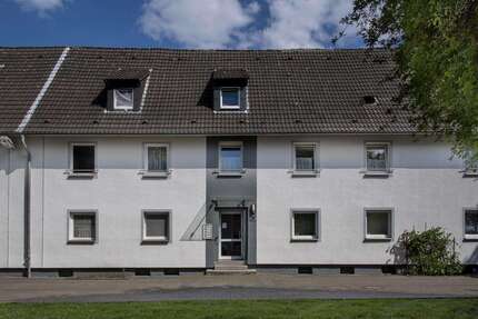 Wohnung zum Mieten in Gelsenkirchen 369 € 46.97 m² 3 zimmer