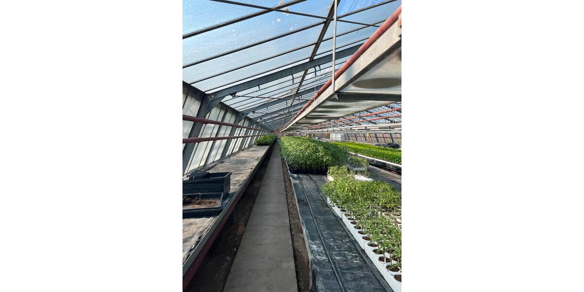 Gewerbeobjekt Obertshausen - 2&euro; | Angebot:20110778