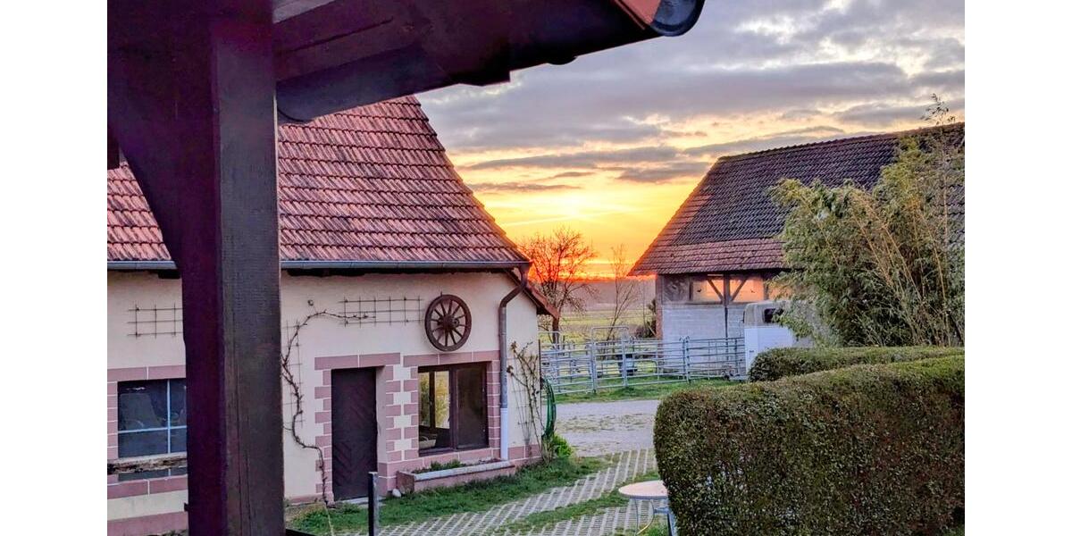 Wohnen auf Zeit Wörth am Rhein - 1 Zimmer, 18 m&sup2;, 45&euro; | Angebot:26417730