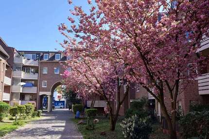 Wohnung Bonn Tannenbusch - 2 Zimmer, 49 m&sup2;, 704&euro; | Angebot:26758491