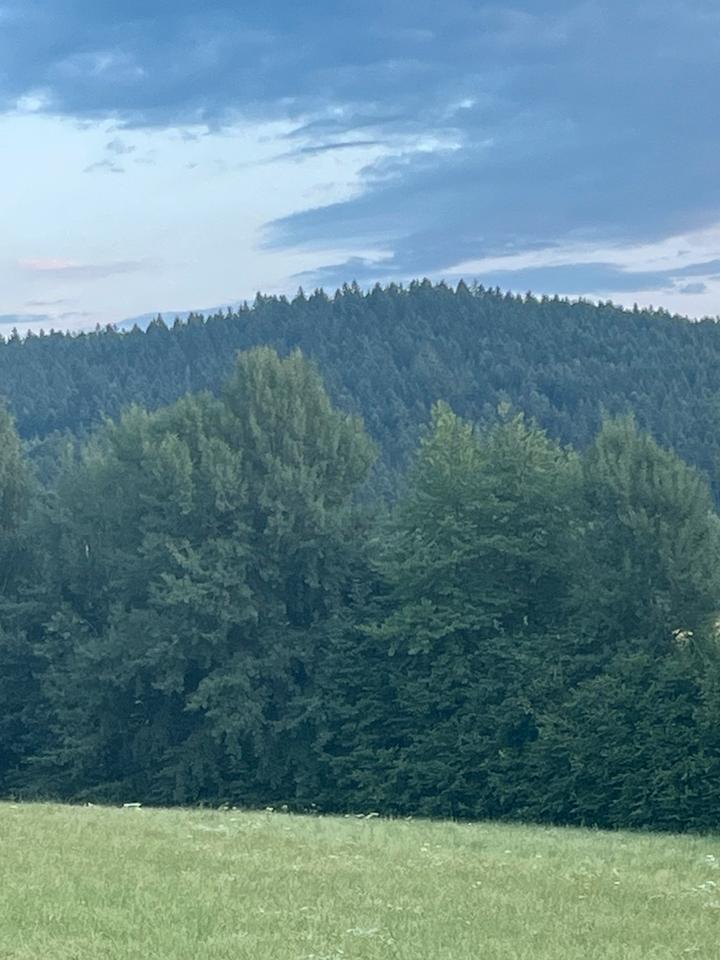 Einfamilienhaus zur Vermietung Nähe Bad Kötzting