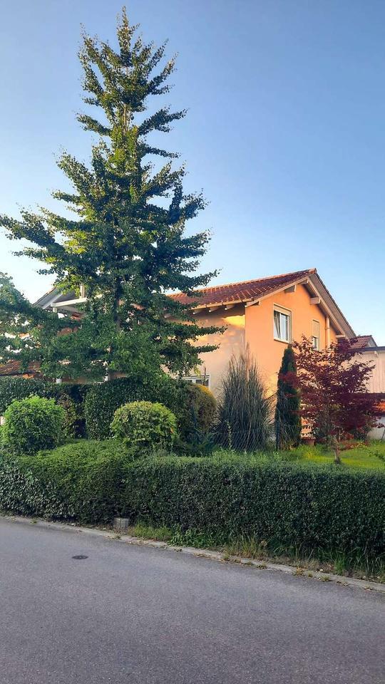 Haben Sie Lust sich gemeinsam ein Einfamilienhaus zu teilen? zimmer