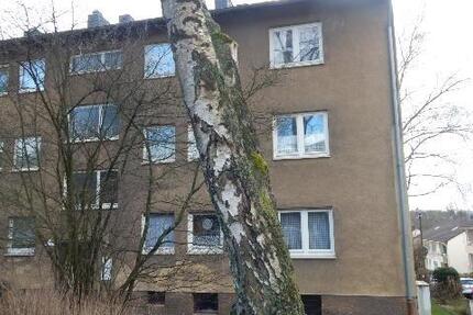 Wer will mich!? 3-Zimmer-Citywohnung zimmer