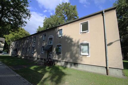 3-Zimmer-Wohnung in Marl Hamm zimmer