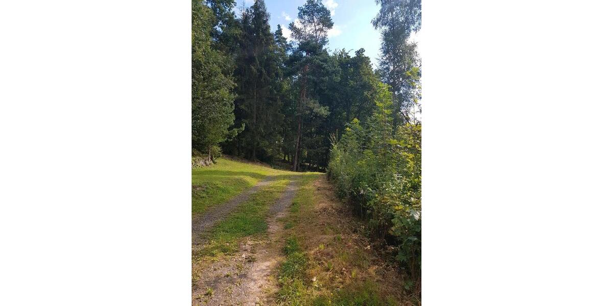 Wohnen auf Zeit Breitungen/Werra Werra - 3 Zimmer, 50 m&sup2;, 200&euro; | Angebot:26426881
