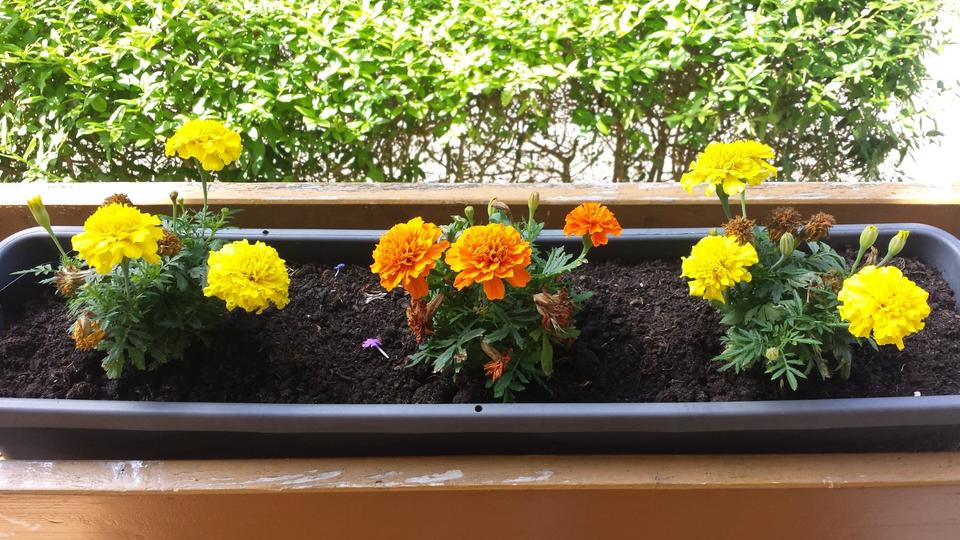 Erdgeschoßwohnung Landsberg am Lech Ellighofen - 2 Zimmer, 45 m&sup2;, 1.650&euro; | Angebot:25843391