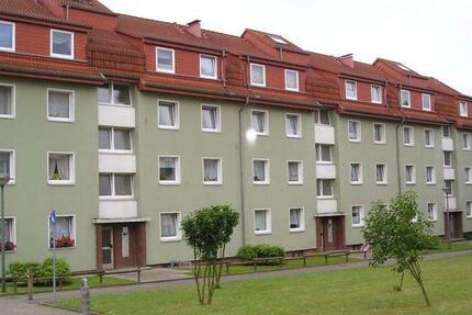 3-Zi.-Wohnung frei! zimmer