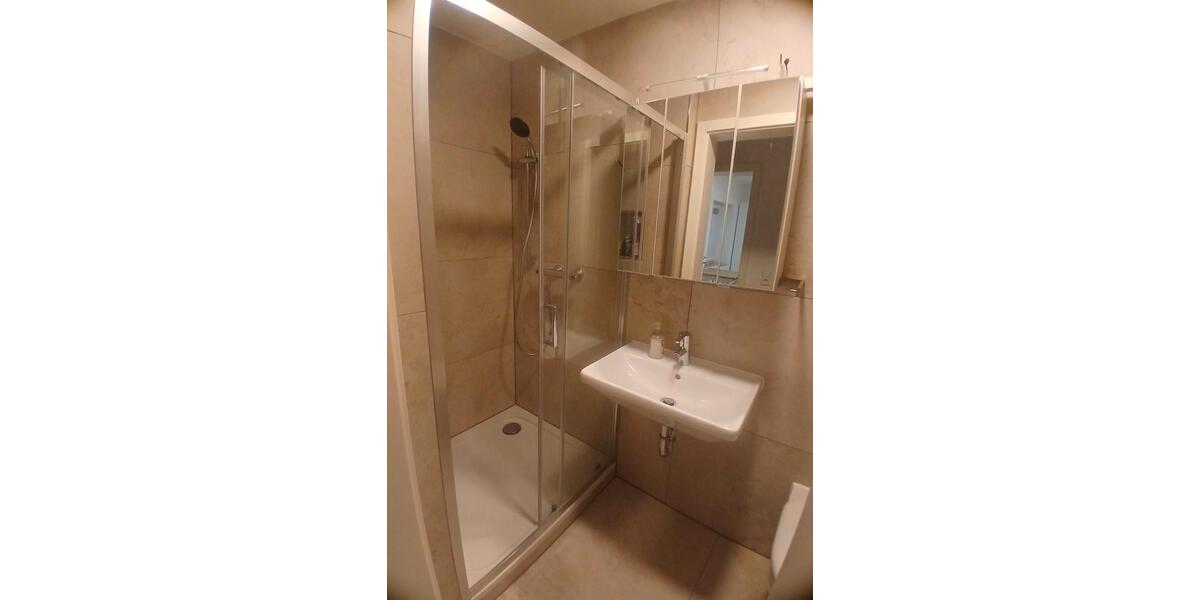 Wohnen auf Zeit Besigheim - 1 Zimmer, 20 m&sup2;, 600&euro; | Angebot:26634762