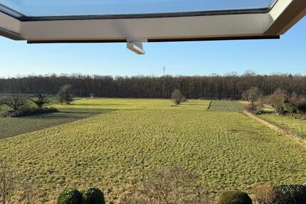 Wohnung Hattersheim am Main - 2 Zimmer, 63 m&sup2;, 730&euro; | Angebot:24850720