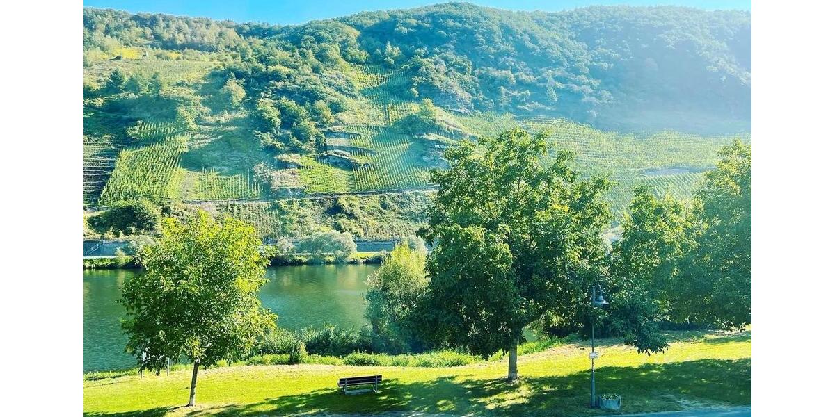 3ZKB Wohnung mit Balkon direkt an der Mosel im Ortsteil Wolf 3 zimmer