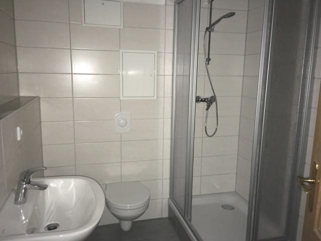 Etagenwohnung Döbeln - 1 Zimmer, 39 m&sup2;, 216&euro; | Angebot:25976353