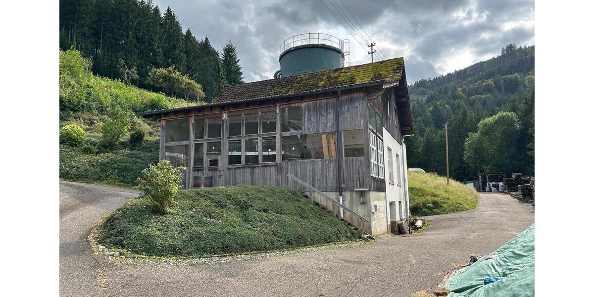 Gewerbeobjekt Winden im Elztal - 1.150&euro; | Angebot:25965027