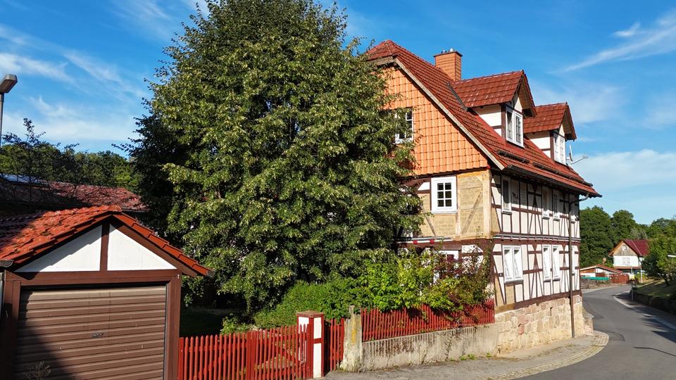 Einfamilienhaus Herleshausen - 10 Zimmer, 270 m&sup2;, 2.000&euro; | Angebot:25964509
