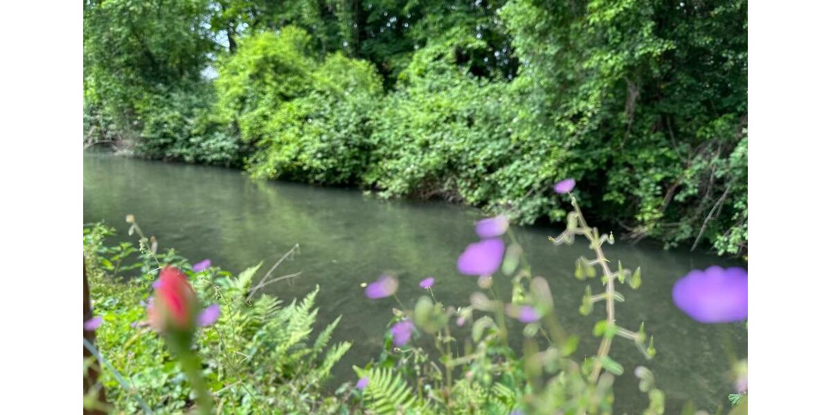 Etagenwohnung Dettingen an der Erms - 3 Zimmer, 60 m&sup2;, 1.950&euro; | Angebot:24590407