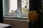 Wohnen auf Zeit Chemnitz - 2 Zimmer, 65 m&sup2;, 1.280&euro; | Angebot:21224886