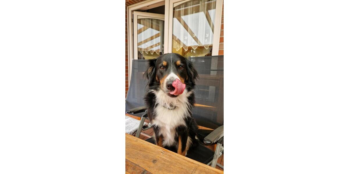 Erdgeschoßwohnung Aurich Georgsfeld und Tannenhausen - 3 Zimmer, 50 m&sup2;, 300&euro; | Angebot:24593090