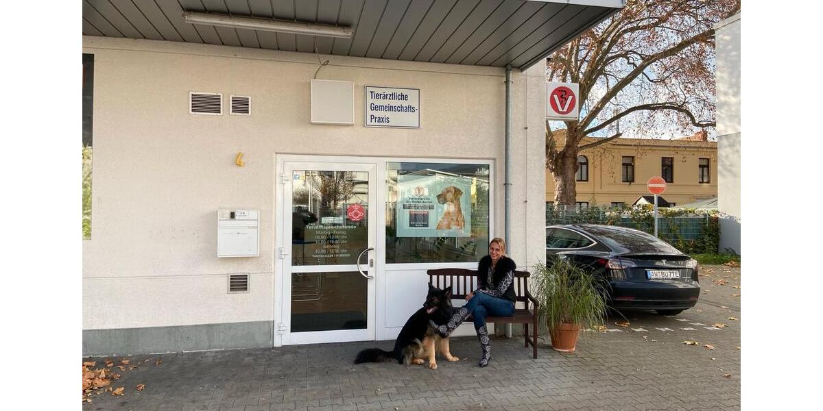 Gewerbeobjekt Bonn Lannesdorf - 270&euro; | Angebot:24763373