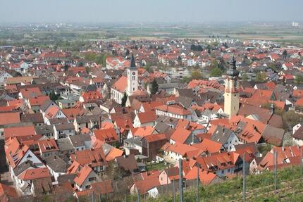 Wohnen auf Zeit Schriesheim - 1 Zimmer, 15 m&sup2;, 600&euro; | Angebot:25393960