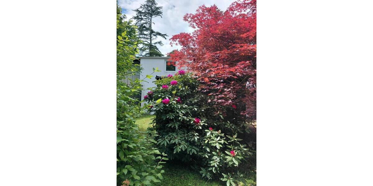 Bungalow Bonn Hardtberg - 5 Zimmer, 110 m&sup2;, 2.500&euro; | Angebot:26591880