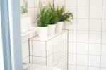 Etagenwohnung Aachen Aachen-Mitte - 1 Zimmer, 30 m&sup2;, 1.000&euro; | Angebot:17774852