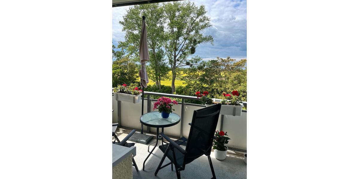 Etagenwohnung Grimma - 2 Zimmer, 49 m&sup2;, 448&euro; | Angebot:25144976