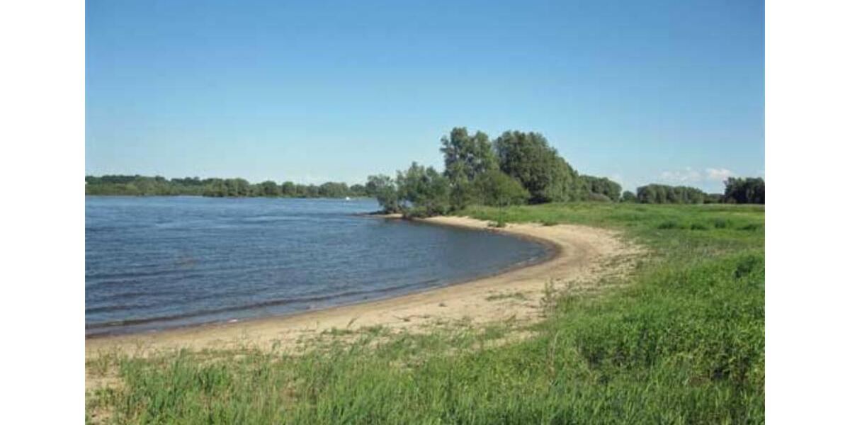 2 Zimmer Wohnung in Elbnähe 2 zimmer