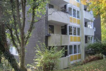 Schöne Wohnung: praktische 2,5-Zimmer-Wohnung zimmer