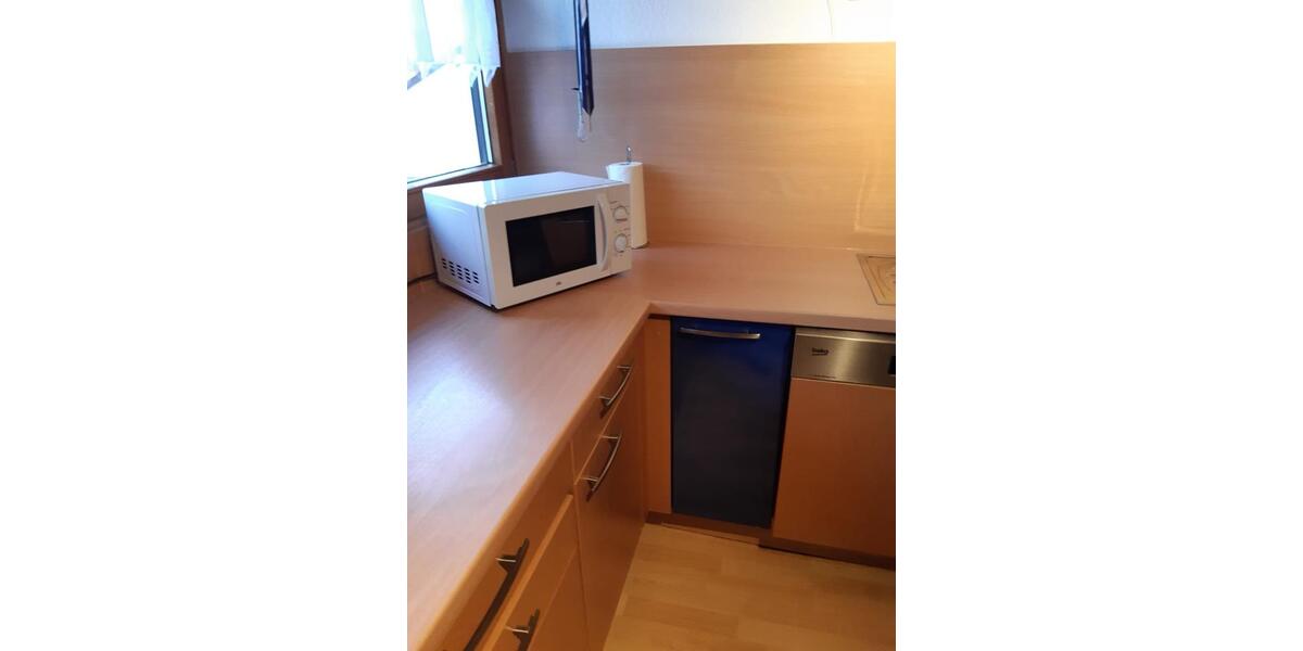 Wohnen auf Zeit Wendelstein - 1 Zimmer, 13 m&sup2;, 460&euro; | Angebot:24478935