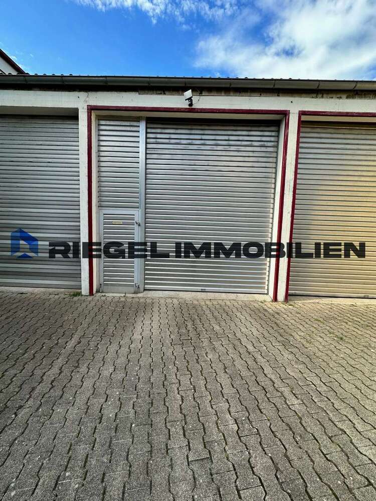 Halle in Speyer 300 € 39.28 m²