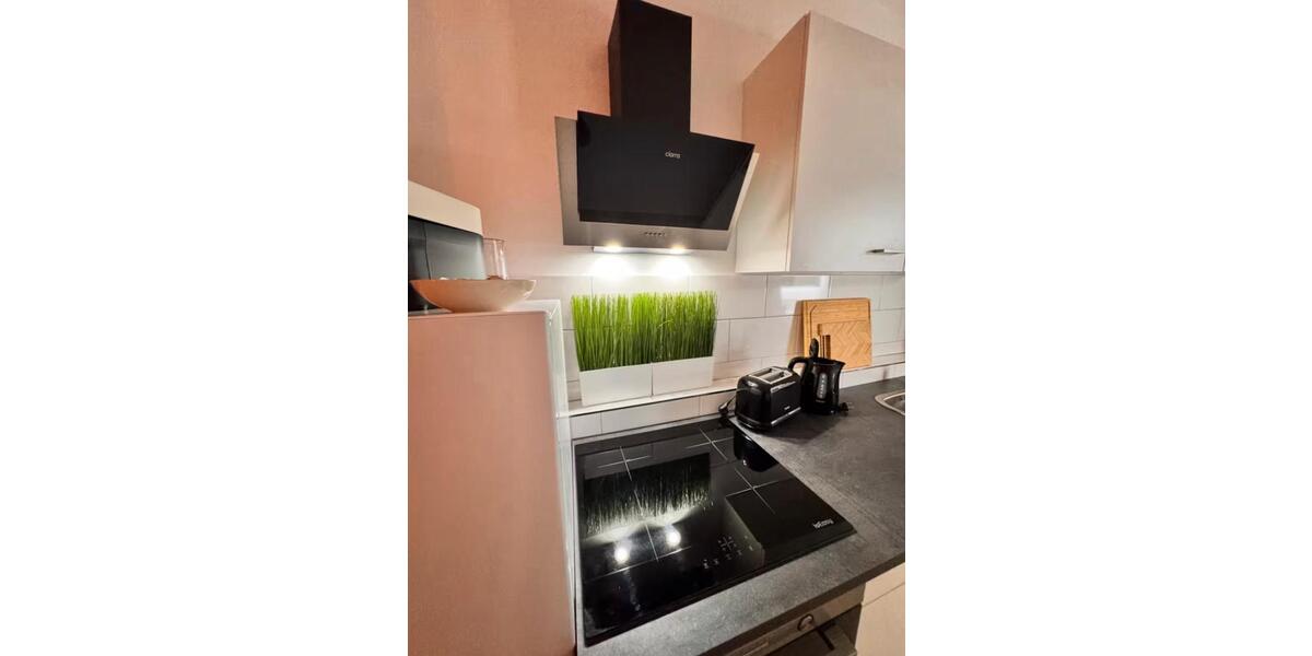 Wohnen auf Zeit Magdeburg - 2 Zimmer, 42 m&sup2;, 900&euro; | Angebot:26018274