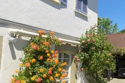 Wohnung Herrenberg - 2 Zimmer, 47 m&sup2;, 670&euro; | Angebot:24373589