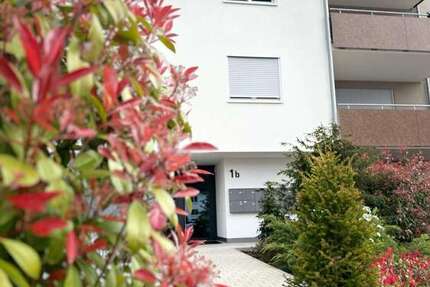 Wohnung Kehl Sölling - 1 Zimmer, 35 m&sup2;, 550&euro; | Angebot:26098035