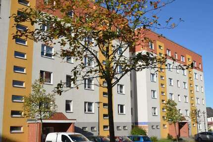 Wohnung Ribnitz-Damgarten Damgarten - 3 Zimmer, 55 m&sup2;, 365&euro; | Angebot:26208255