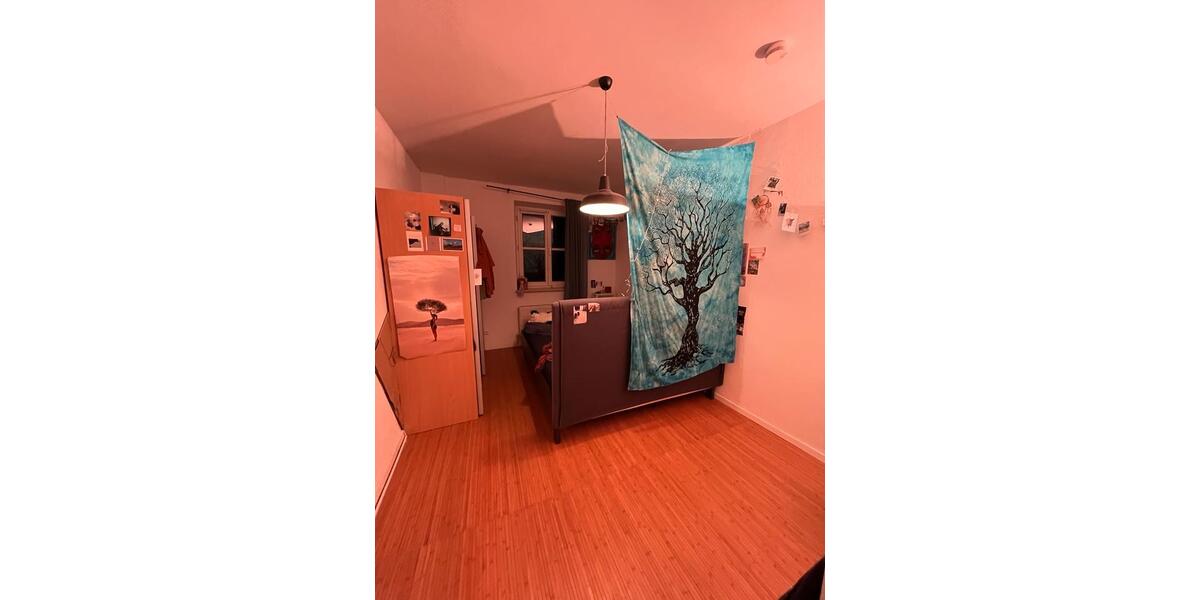 Wohnen auf Zeit Landshut - 3 Zimmer, 79 m&sup2;, 500&euro; | Angebot:25126564