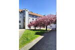 Etagenwohnung Kaufbeuren Altstadt - 3 Zimmer, 82 m&sup2;, 1.595&euro; | Angebot:26764528